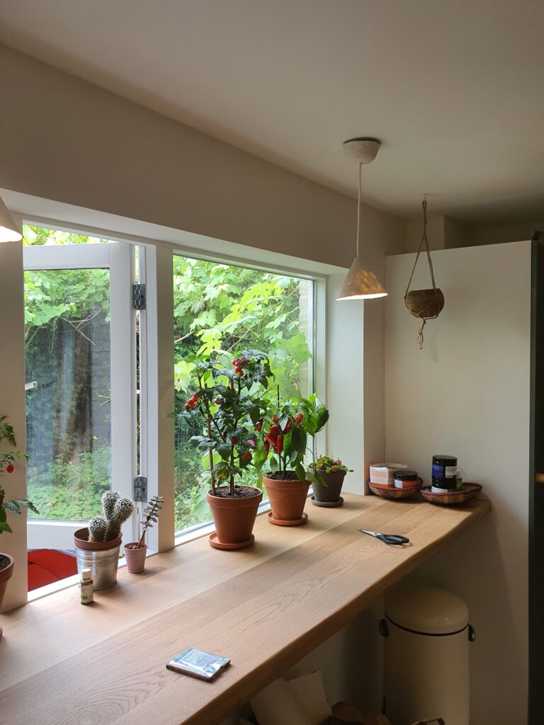 Keuken met raam, planten en houten werkblad